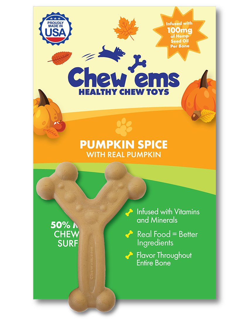 Chew'ems Pumpkin Spice Small Dog Chew Toy with Hemp Seed Oil