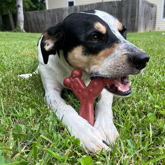 What Are Chew’ems Dog Chew Toys?