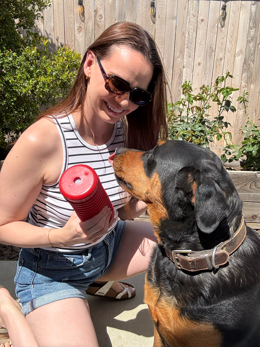 Strengthen the bond with your dog through interactive play. See how crinkly rubber toys like Krunch’ems keep your pup happy and engaged during indoor quality time.