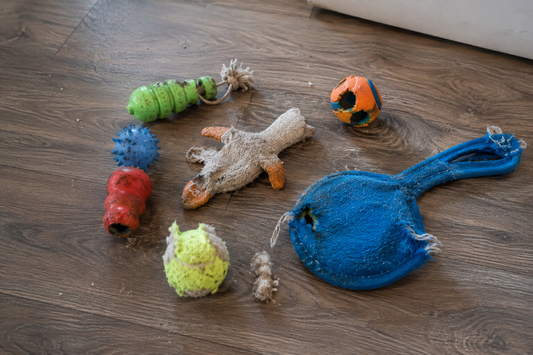 Used dog chew toys lying on floor