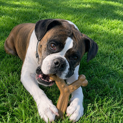 Chew'ems Large Dog Chew Toy for Aggressive Chewers | Durable USA-Made Dental Dog Toy