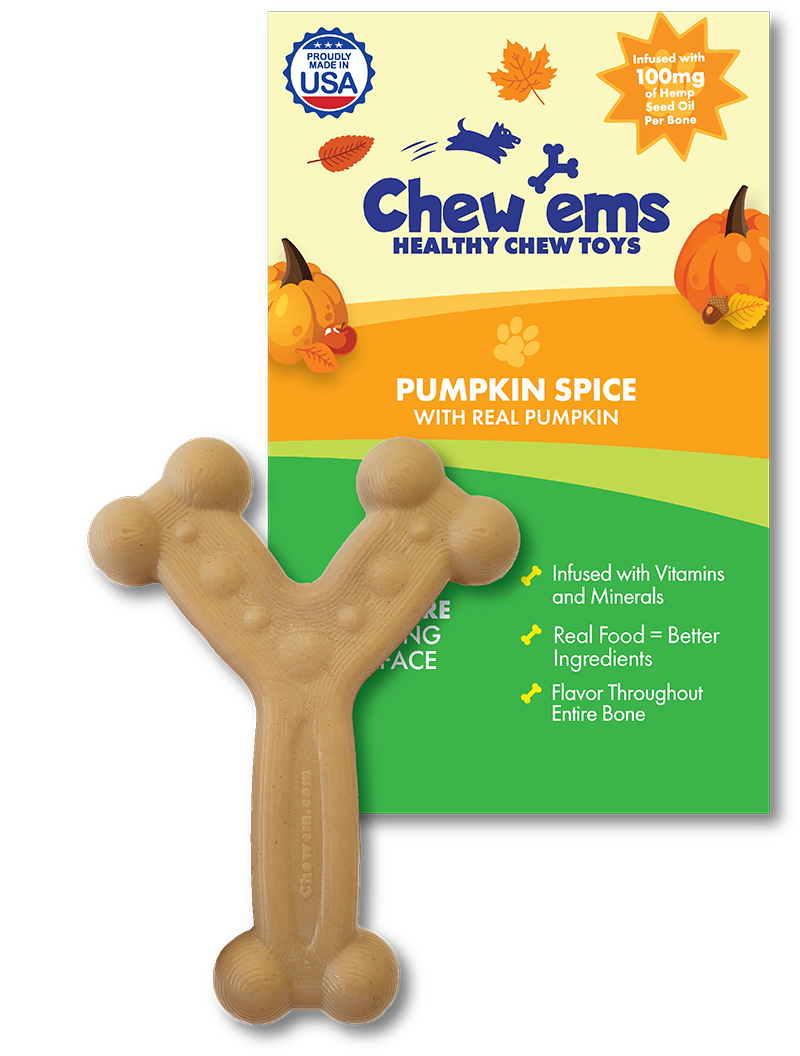 Chew'ems Pumpkin Spice Large Dog Chew Toy with Hemp Seed Oil