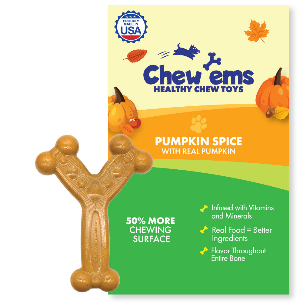 Chew'ems Pumpkin Spice Small Dog Chew Toy
