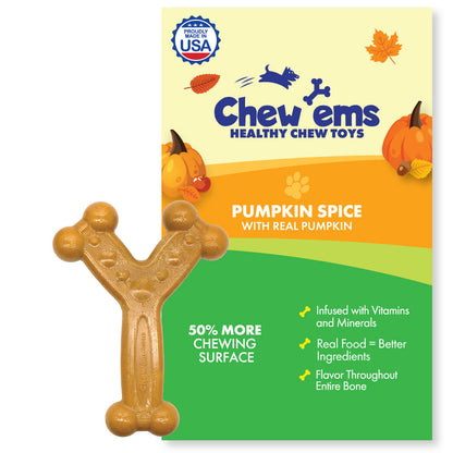 Chew'ems Pumpkin Spice Small Dog Chew Toy