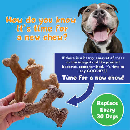 Chew'ems graphic showing when to replace worn Chew'ems dog chew toy