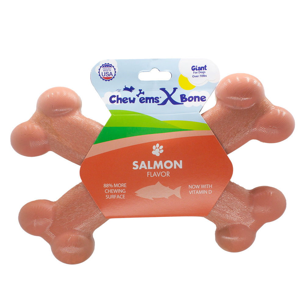 Chew'ems X Bone Dog Chew Toy