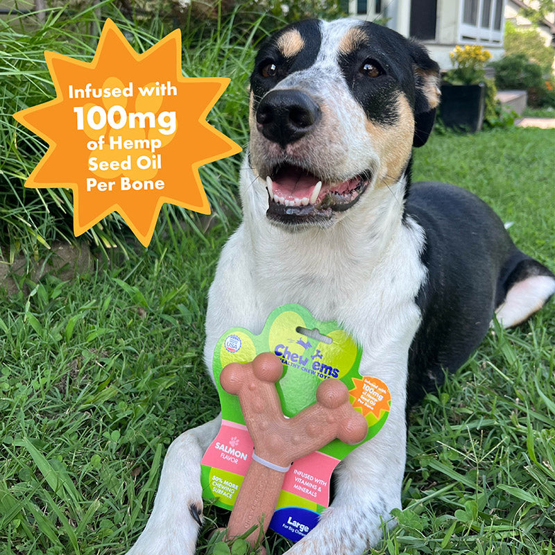 A dog sitting on grass holding a colorful dog chew toy with 'Chew'ems with Hemp Seed Oil' text and flavor names like Bacon, Beef, Chicken, Salmon, and Pumpkin Spice.