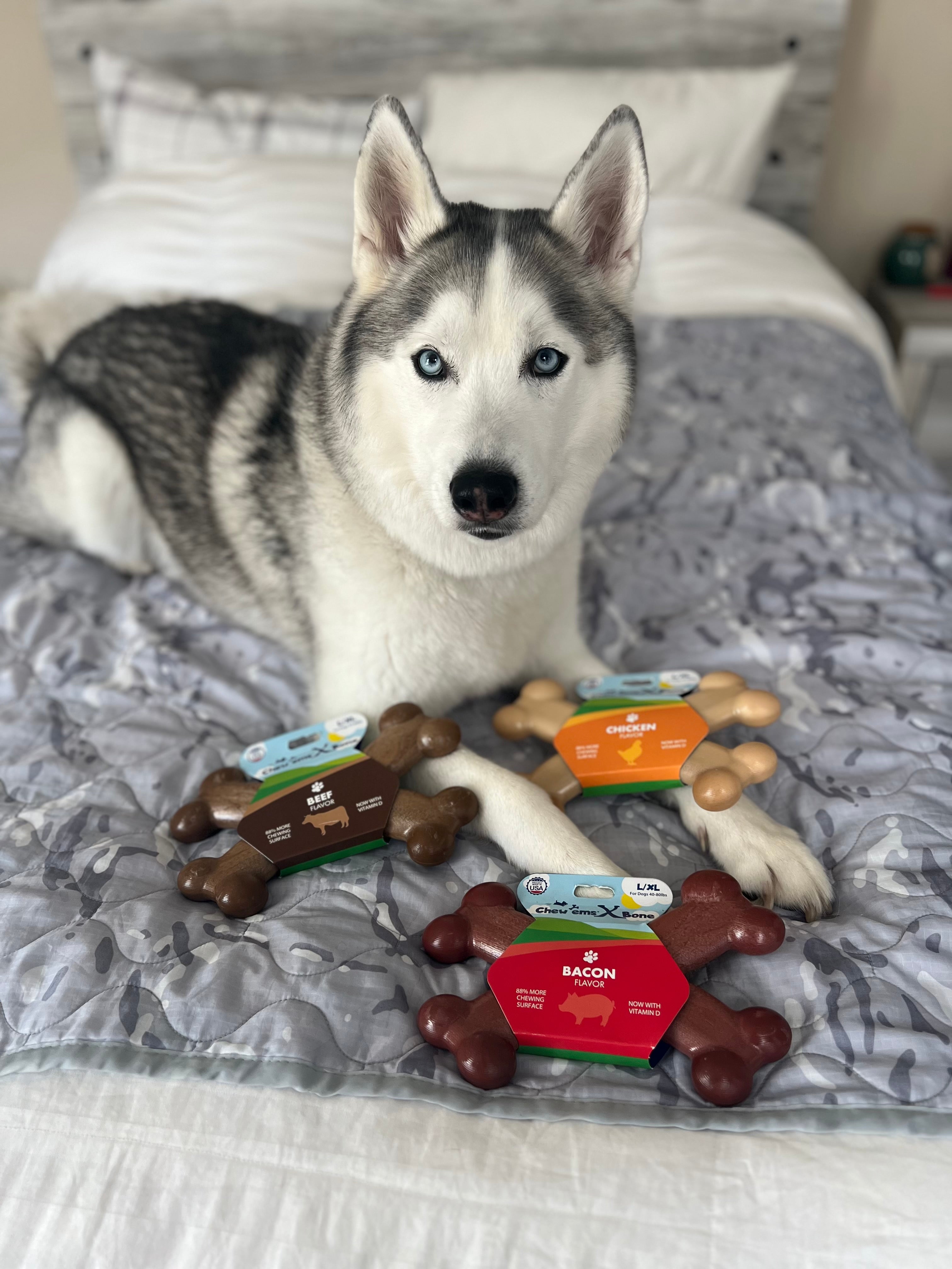 Dog with Variety of Chew'ems X Bone Flavors