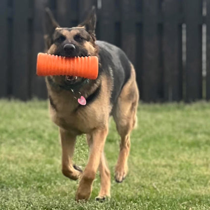 Dog running with Krunch'ems chew toy