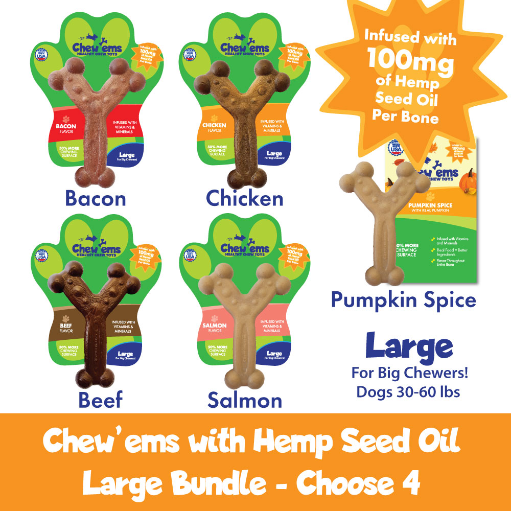 A promotional image featuring four Large Chew'ems dog chew toys in various flavors including Bacon, Chicken, Beef, and Salmon, with an additional Pumpkin Spice option highlighted. Each toy is infused with hemp seed oil, and the image indicates that the toys are suitable for big chewers, weighing 30-60 lbs.