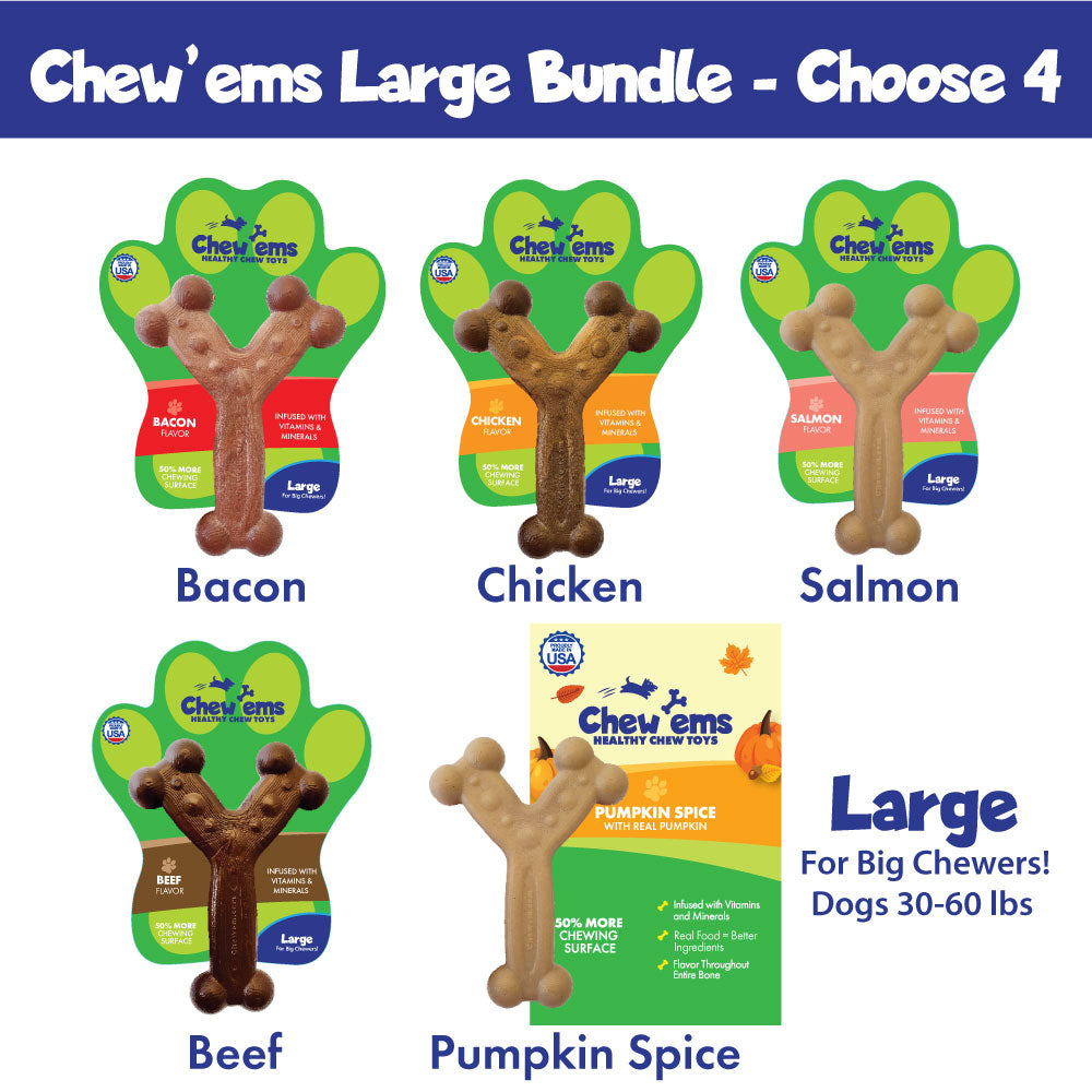 A promotional image featuring five Large Chew'ems dog chew toys in five different flavors: Bacon, Chicken, Salmon, Beef, and Pumpkin Spice, with a 'Build Your Own Bundle - Choose 4' offer.