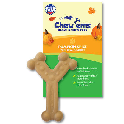 Chew'ems pumpkin spice flavored nylon dog chew toy for aggressive chewers, large size, made in the USA.