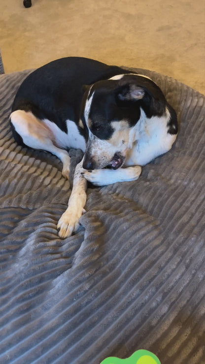 Chew'ems Dog Chew Toys with Hemp Seed Oil