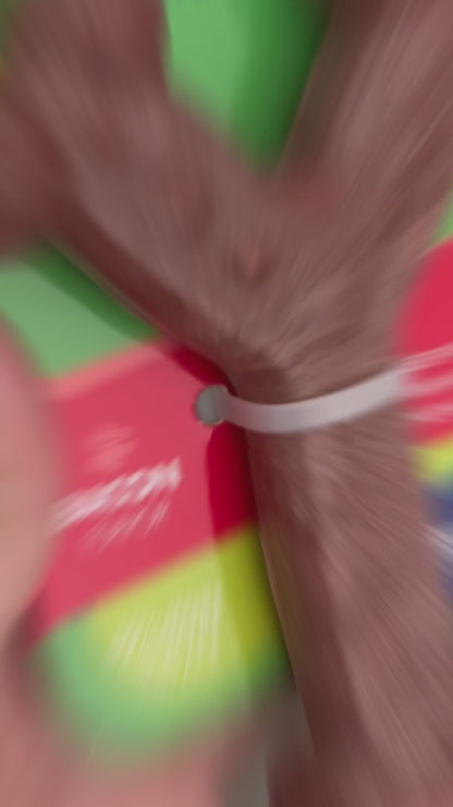 Chew'ems Dog Chew Toys